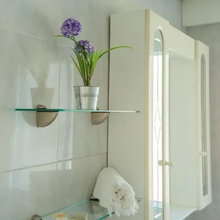 Hyp - Hortensias Pontevedra